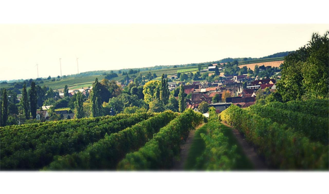 Ferienhaus & Weingut Am Steingebiss Billigheim-Ingenheim Экстерьер фото
